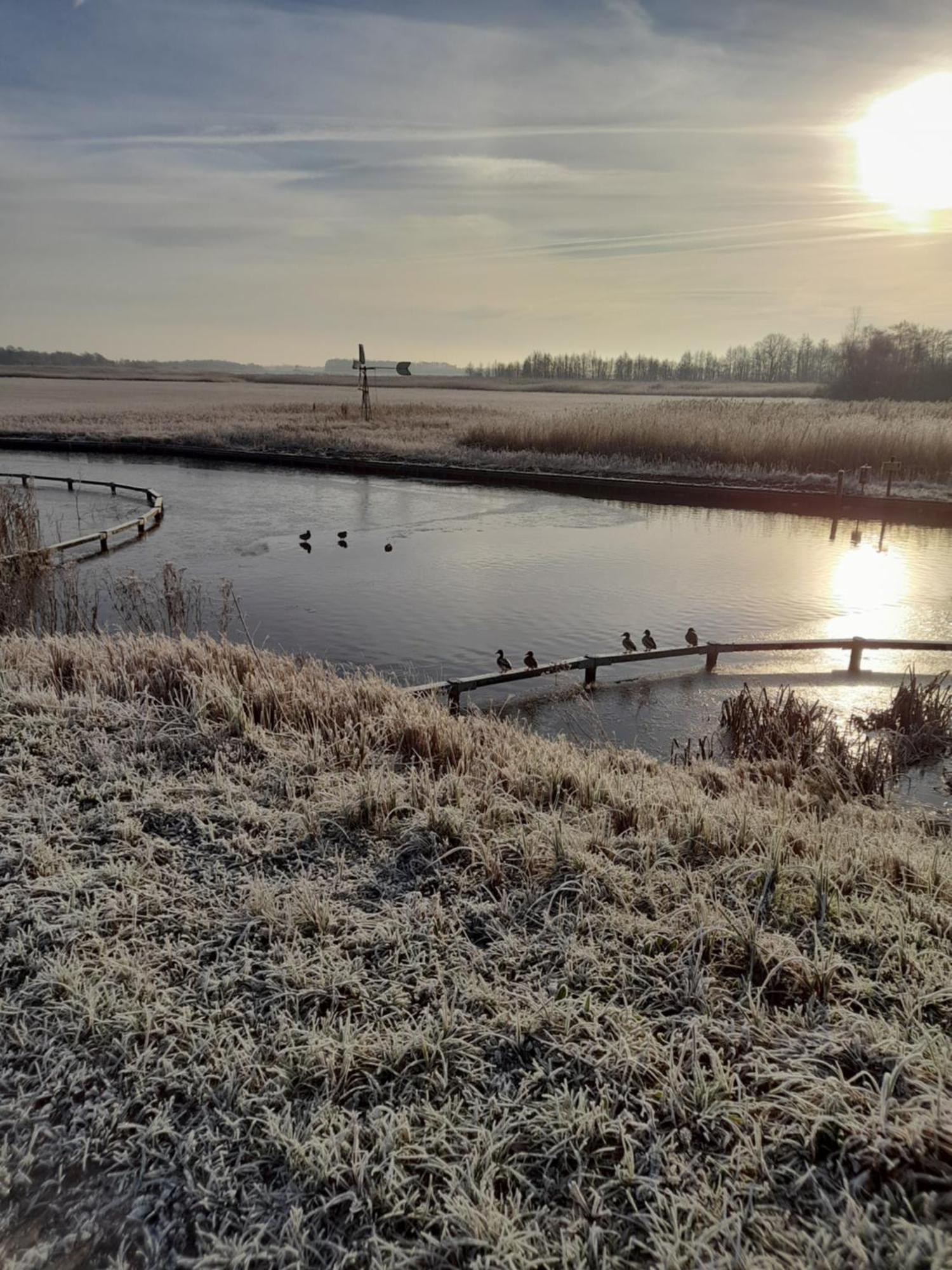 Wuivend Riet Gelegen Op Resort Venetie คีทโฮร์น ห้อง รูปภาพ